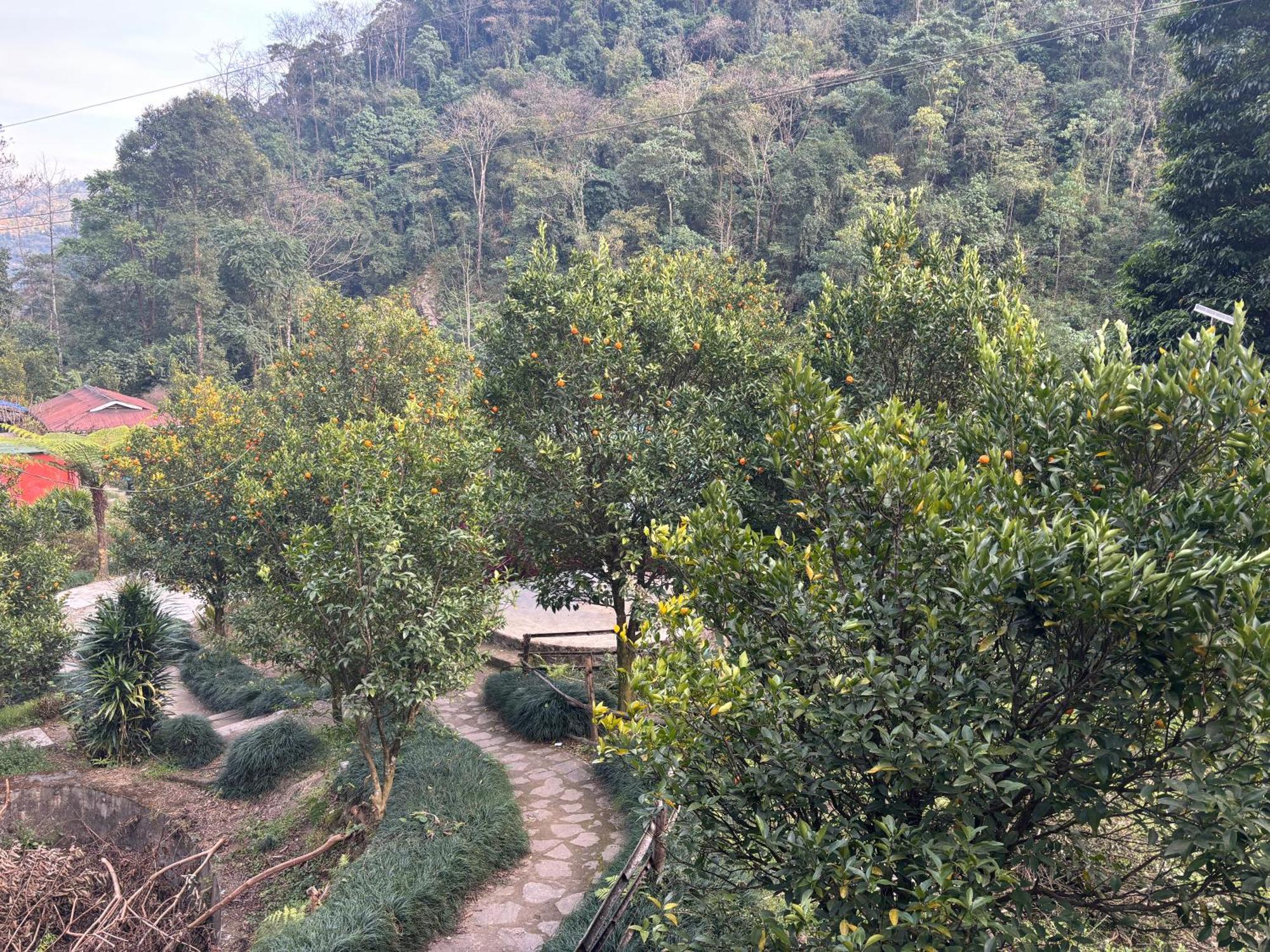 Odyssey Stays Rimbi Pelling Exterior photo